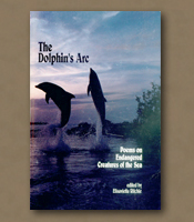 The Dolphin's Arc