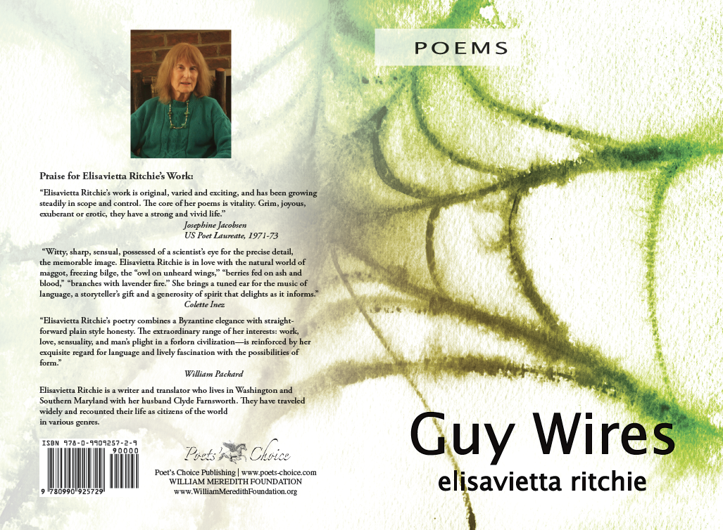 Guy Wires Cover