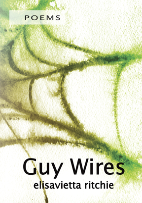 Guy Wires