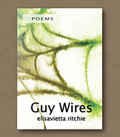 Guy Wires
